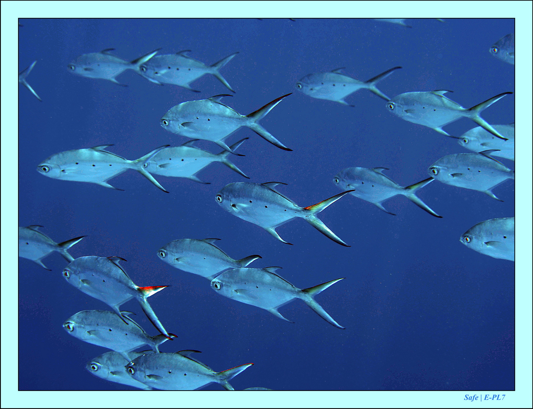 2023 - 07 - Sandies Bathala - 204